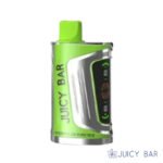 Buy Watermelon Kiwi Ice Juicy Bar JB25000