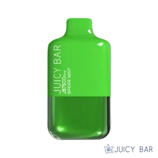 Buy Spearmint Juicy Bar JB7500 Pro Edition