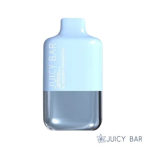 Buy Blueberry Raspberry Juicy Bar JB7500 Pro