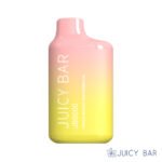 Buy Peach Mango Watermelon Juicy Bar JB5000