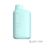 Buy Brazilian Cocktail Juicy Bar JB5000