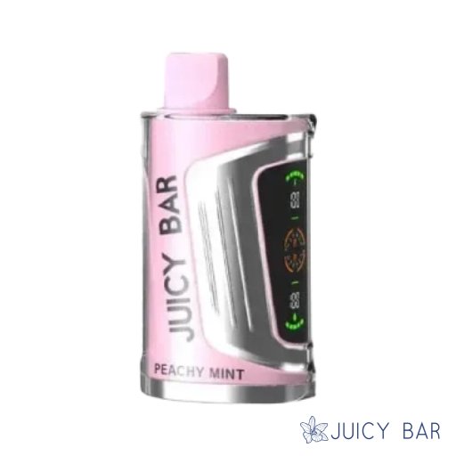 Buy Peachy Mint Juicy Bar 25000 Puffs