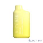 Buy Peach Mango Pineapple Juicy Bar JB5000