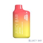 Buy Mango Lychee Ice Juicy Bar JB5000