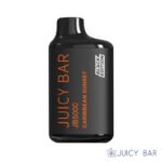 Buy Caribbean Sunset Juicy Bar JB5000 Black Edition