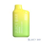 Buy Pineapple Slushy Juicy Bar JB5000