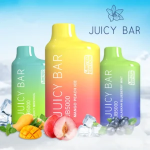 Best Disposable Vape Flavors