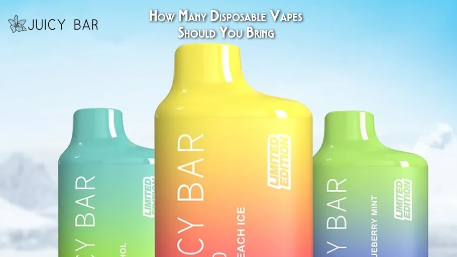 How Many Disposable Vapes Should You Bring